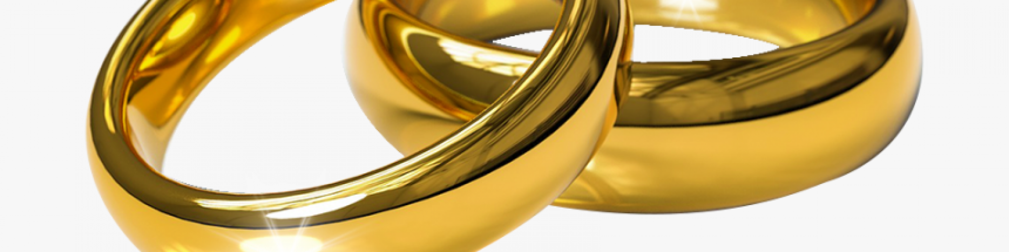 231-2314457_rings-transparent-background-download-gold-wedding-rings-png 231-2314457_rings-transparent-background-download-gold-wedding-rings-png